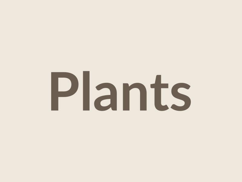 Plantas
